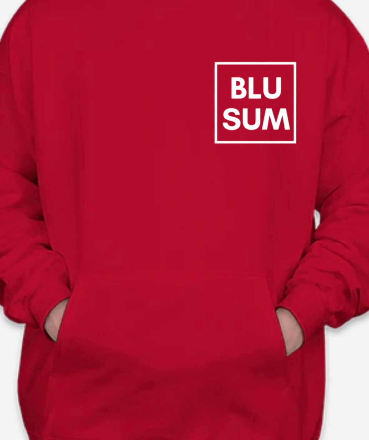 BLUSUM HS Edition Hoodie