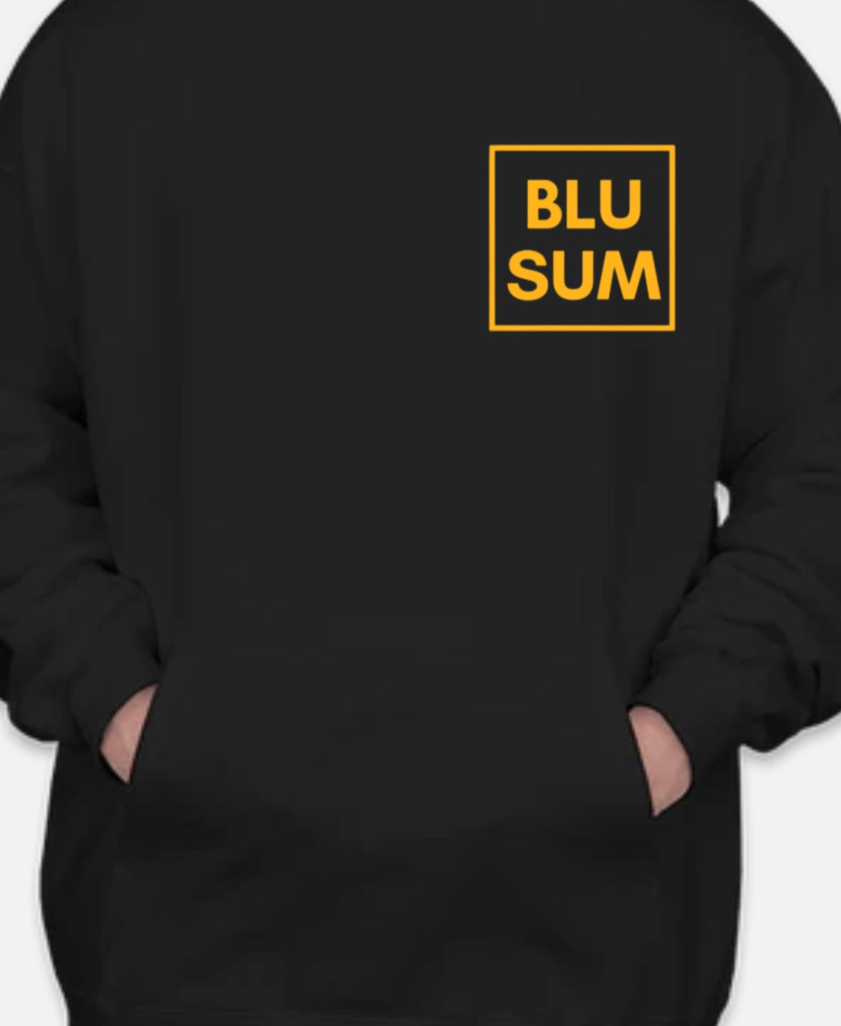 BLUSUM HS Edition Hoodie
